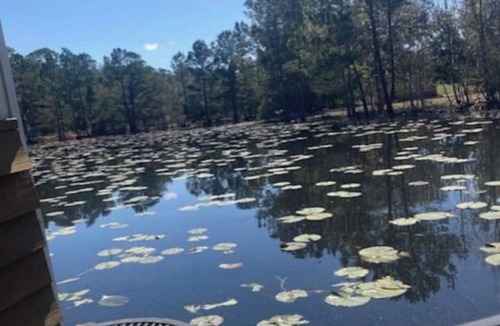 Yulee Boat Rental | Boatel near Amelia Island