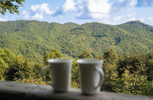 Boone Cabin | Boone/Blowing Rock Cabin: Hot Tub, Mountain Views, Sleeps 8, Peaceful, Private