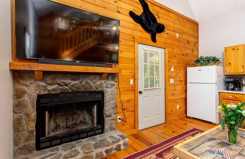 Ellijay Cabin | Cabin Near Amicalola Falls | Firepit | Great for a summer getaway!