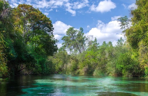 Brooksville RV Rental | Camp/sleep van laundry Clean restrooms Nature WiFi central Fl. You will love it