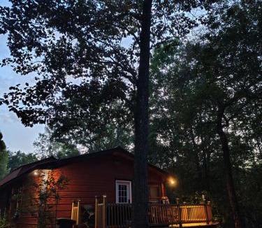 Turtletown Other | Campfire Vibes at TNcabin230