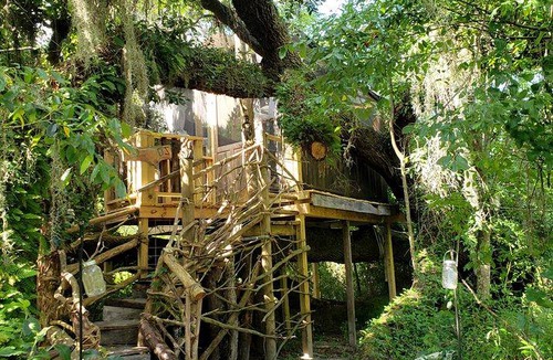 Live Oak Other | Camping ∙ 1 bedroom ∙ 2 guests