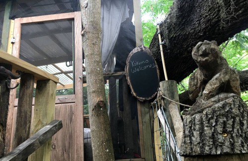 Live Oak Other | Camping ∙ 1 bedroom ∙ 2 guests