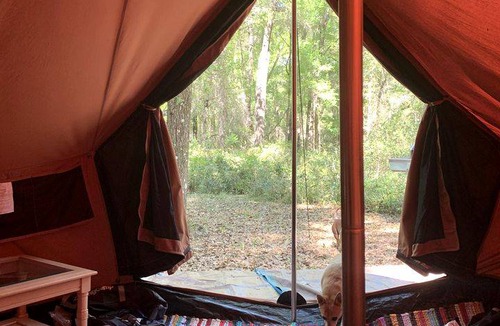Citrus Springs Other | Camping ∙ 1 bedroom ∙ 3 guests