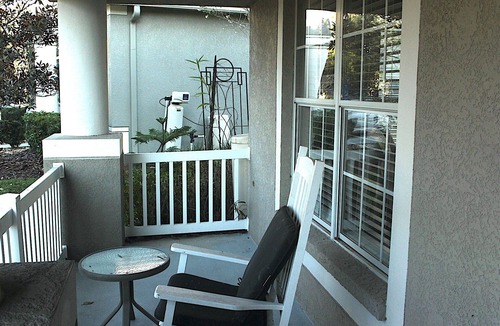 Wesley Chapel South House | Central location perfect for family and friends vacation home