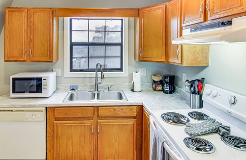 Mills River House | Centrally Located Mills River Townhome w/Fire Pit