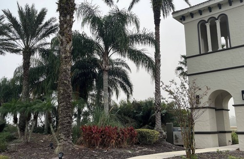 New Smyrna Beach House | Charming 3-bedroom townhome in lovely New Smyrna Beach.