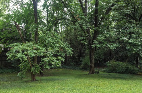 North Decatur Cottage | Charming 3-bedroom cottage in delightful Decatur with King bed