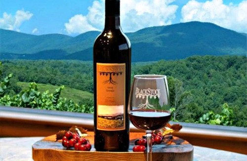 Copperhill RV Rental | Charming Copperhill Accommodation Ideal for Glamping in Tennessee