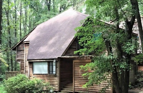 Decatur Cabin | Cheerful cabin, tucked away, for nature lovers.