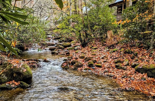 Otto Cabin | Chinkapin Gap on Betty's Creek - 1BR + Open Sleeping Loft w/1/2 Bath
