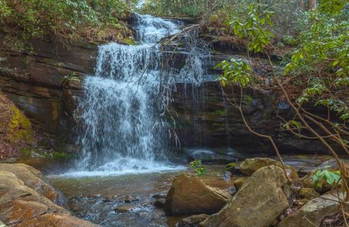 Old Fort House | Christmas Tree Cabin Secluded Asheville Area Log Cabin with a View!