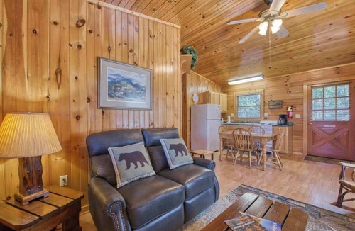 Waynesville House | Classic lake cabin with WiFi, deck, kitchen, partial AC - dogs OK