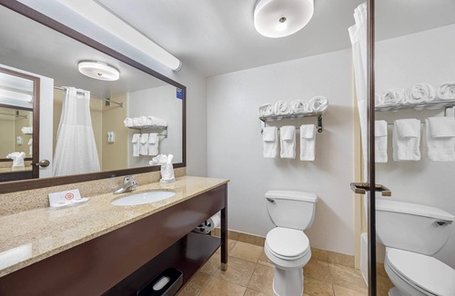 Downtown Chattanooga Hotel | Comfort Inn Chattanooga Downtown Southside
