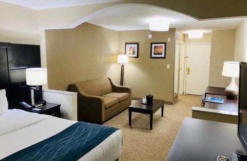 Smyrna Hotel | Comfort Inn & Suites Atlanta-Smyrna