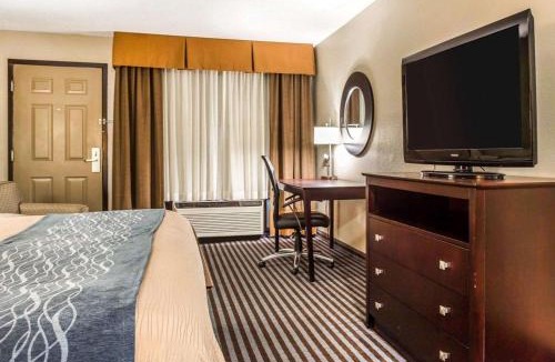 Smyrna Hotel | Comfort Inn & Suites Ballpark Area