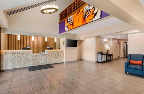 Clemson Hotel | Comfort Inn & Suites Clemson - University Area