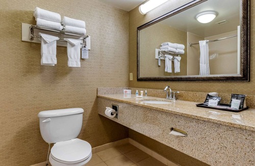 Warner Robins Hotel | Comfort Inn Warner Robins Georgia