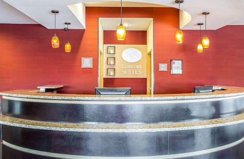Rock Hill Hotel | Comfort Suites Rock Hill Manchester Meadows Area