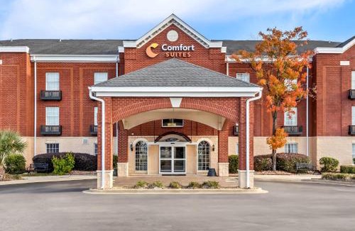 Sumter Hotel | Comfort Suites Sumter near Shaw AFB