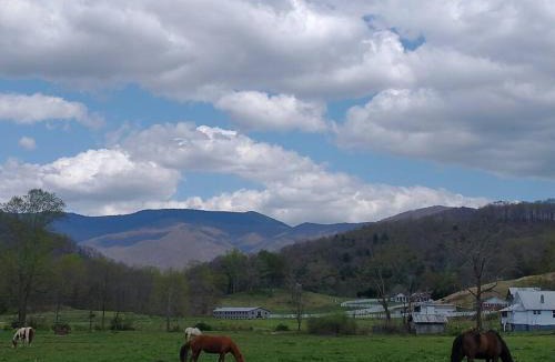 Barnardsville House | Country Mountain Escape!