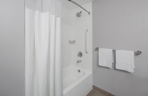 Oldsmar Hotel | Courtyard Oldsmar