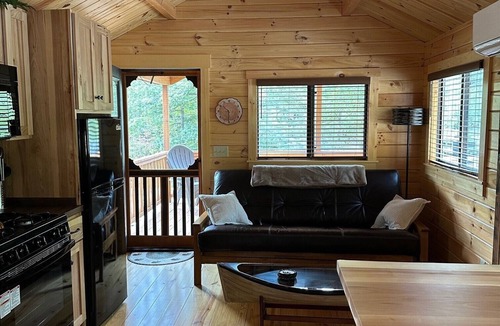 Hiawassee Cabin | Cozy 1 bedroom cabin in charming Hiawassee with WiFi, AC & Heat Adults only.