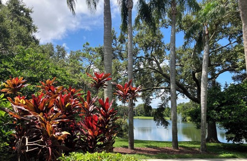 Palm Harbor Condo | Cozy 1-bedroom condo with AC and fitness room in marvelous Palm Harbor