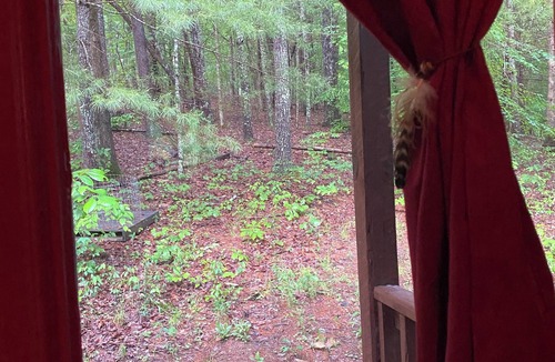 Blairsville Cabin | Cozy 2-bedroom cabin in awesome Blairsville with ac and wifi.