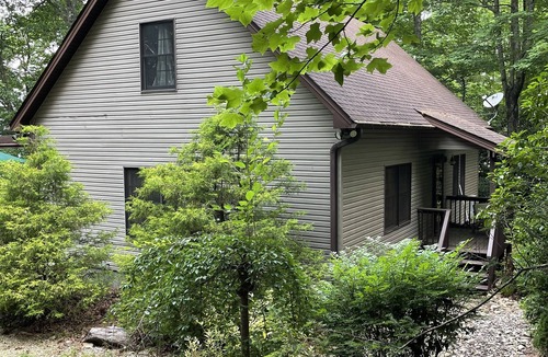 Pisgah Forest Cottage | Cozy and fun mountain-view cottage 10 mins from shopping and hiking