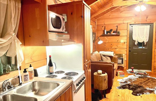 Enoree Cabin | Cozy cabin and contemporary container home on one property! Pets welcome!