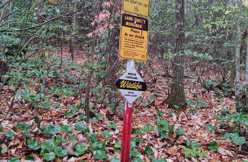 Newland Cabin | Cozy cabin nestled in 7 acres in the Pisgah Forest with trails