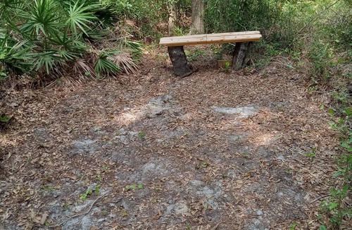 Chiefland RV Rental | Cozy campground with WiFi in peaceful Chiefland