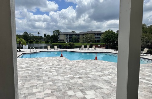 Carrollwood Condo | Cozy Condo Minutes from Tampa International Airport and Busch Gardens