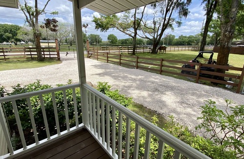 Odessa Cottage | Cozy Cottage - Close to Everything, Nature Lovers Dream!