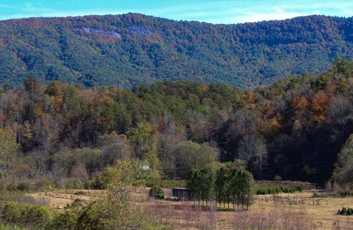 Old Fort House | Cozy Country 3/2 w/shared outdoor fire-pit, playground & water access (Pets OK!)