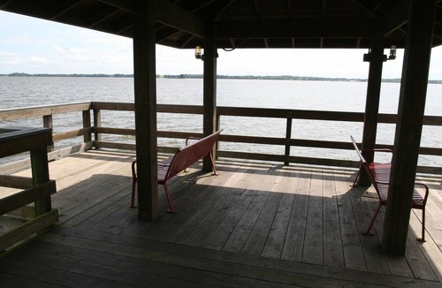 Howey-in-the-Hills Apartment | Cozy Howey-in-the-Hills apartment, just 45 minutes to Disney World attractions!