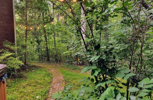 Milton Apartment | Cozy Milton Guest Suite with Private, Wooded Patio & Kitchenette