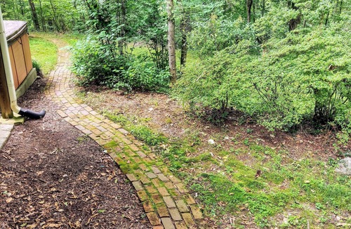Milton Apartment | Cozy Milton Guest Suite with Private, Wooded Patio & Kitchenette
