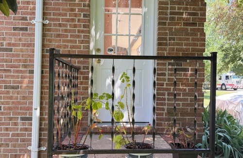 Fredericksburg Apartment | Cozy Studio Apartment in Historic Fredericksburg