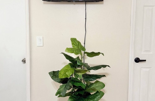 Carrollwood Apartment | Cozy Studio Near TPA Airport Highway Mall Central Peaceful Stay Disney+
