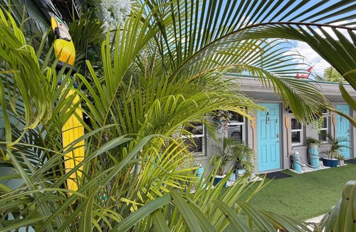 Bonita Springs Hotel | Cozy Tropical King Studio with Kitchenette in Bonita Springs