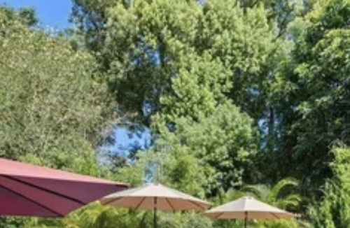 Lake Eola Heights House | Cozy, Updated Orlando Home In Historical Lake Eola minutes from Orlando Center.