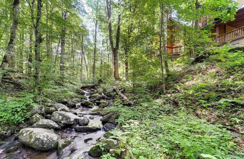 Bakersville Cabin | Creekside Mountain Cabin in Rural Dark-Sky Country