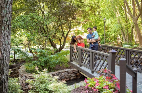 Dunwoody Hotel | Crowne Plaza Atlanta Perimeter at Ravinia by IHG
