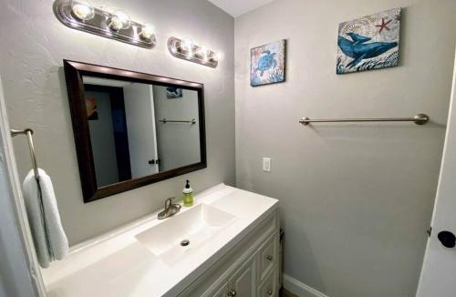 University Heights Apartment | Cute downtown home by Depot Park