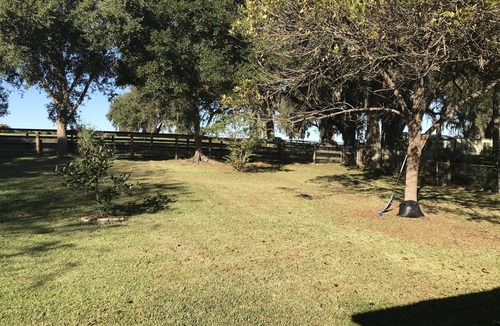 Ocala House | Cute & Open one-story House, near World Equestrian Center & Florida Horse Park