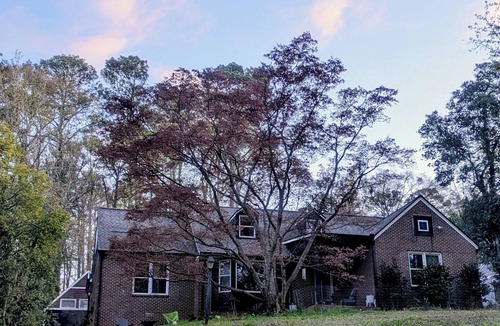 Decatur House | Decatur Family Haven, 4BR + Huge Turf Yard