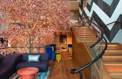 Lake Nona Medical City Apartment | Deluxe Queen Room Near Foxtail Coffee Co ORL