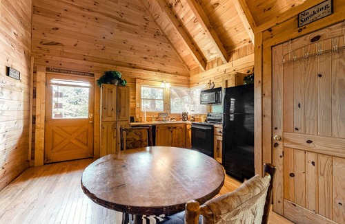 Sevierville House | Dog Friendly Mtn Studio Cabin, Sleeps 2, Hot Tub